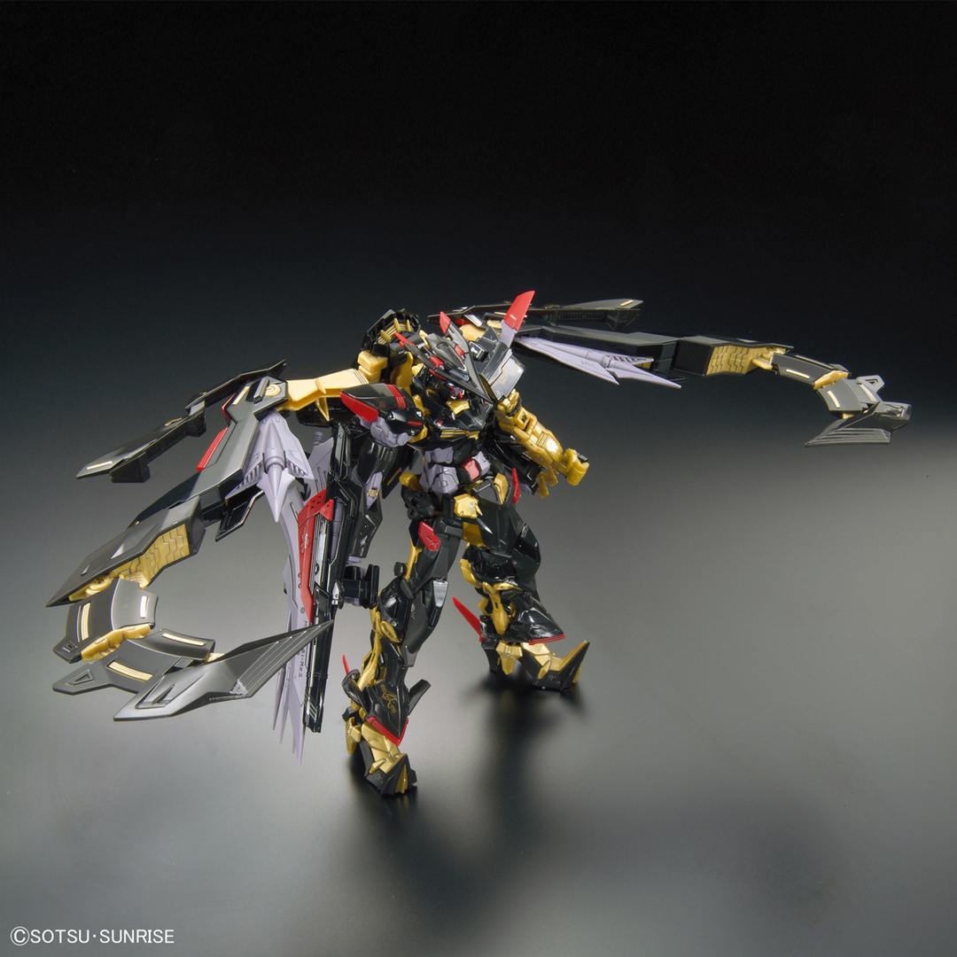 #24 Gundam Astray Gold Frame Amatsu Mina RG