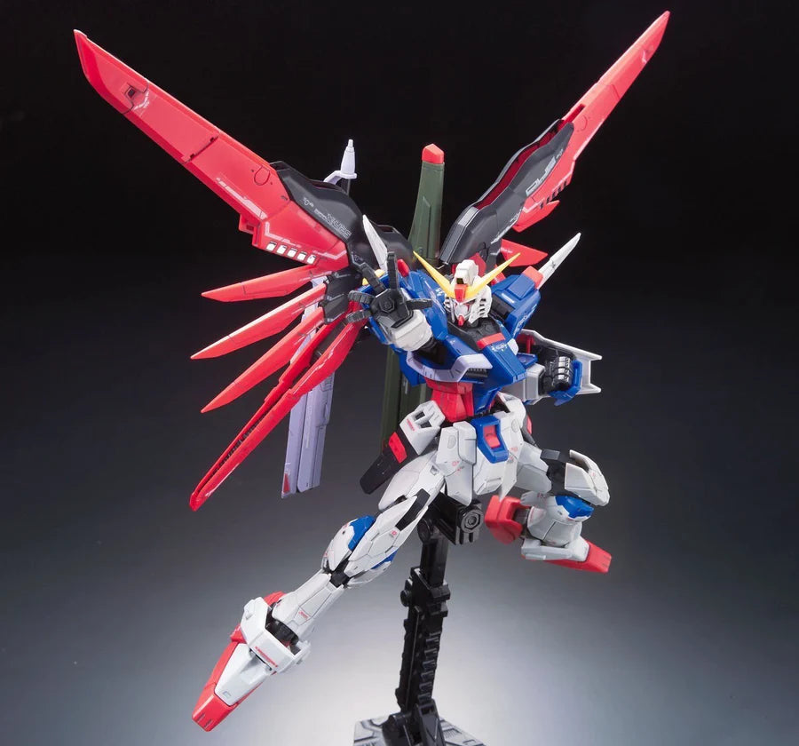 #11 Destiny Gundam RG