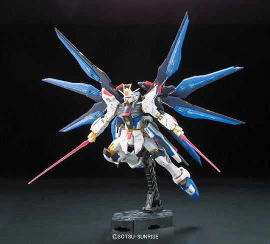 #14 Strike Freedom Gundam RG